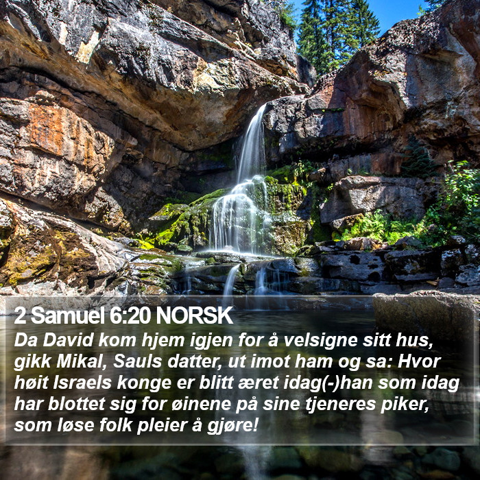 2 Samuel 6:20 NORSK Bible Study