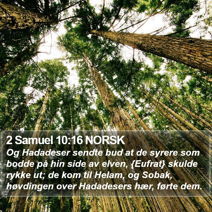 2 Samuel 10:16 NORSK Bible Study