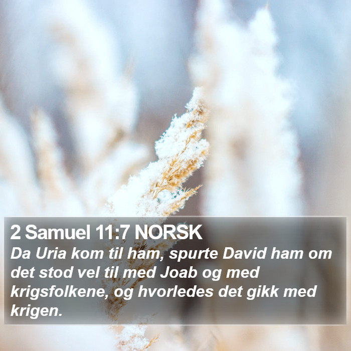 2 Samuel 11:7 NORSK Bible Study