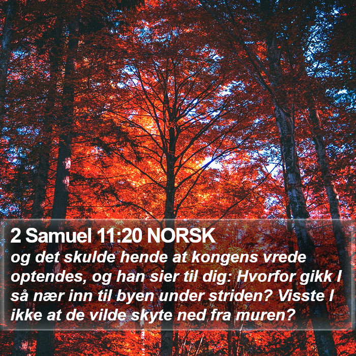 2 Samuel 11:20 NORSK Bible Study