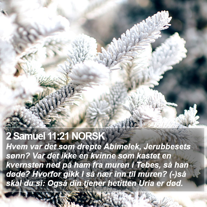 2 Samuel 11:21 NORSK Bible Study