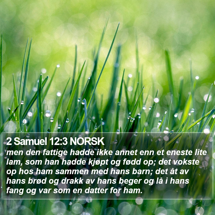 2 Samuel 12:3 NORSK Bible Study