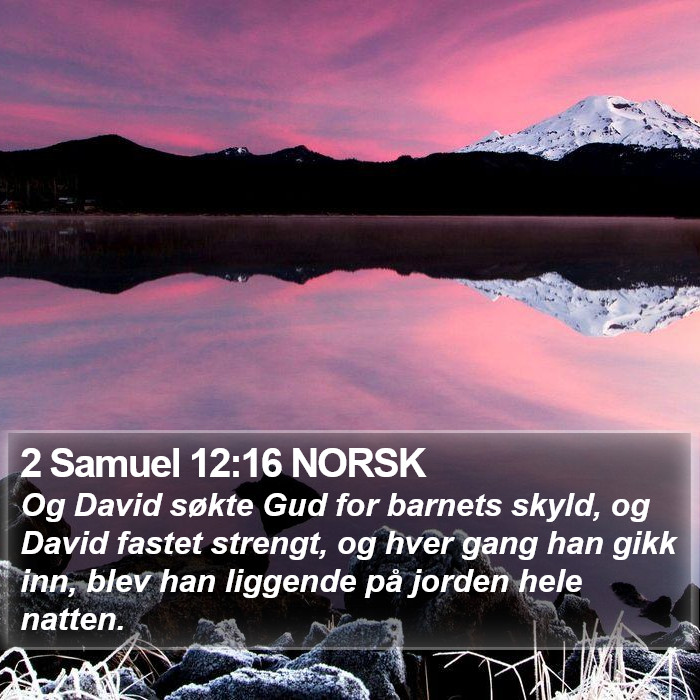 2 Samuel 12:16 NORSK Bible Study