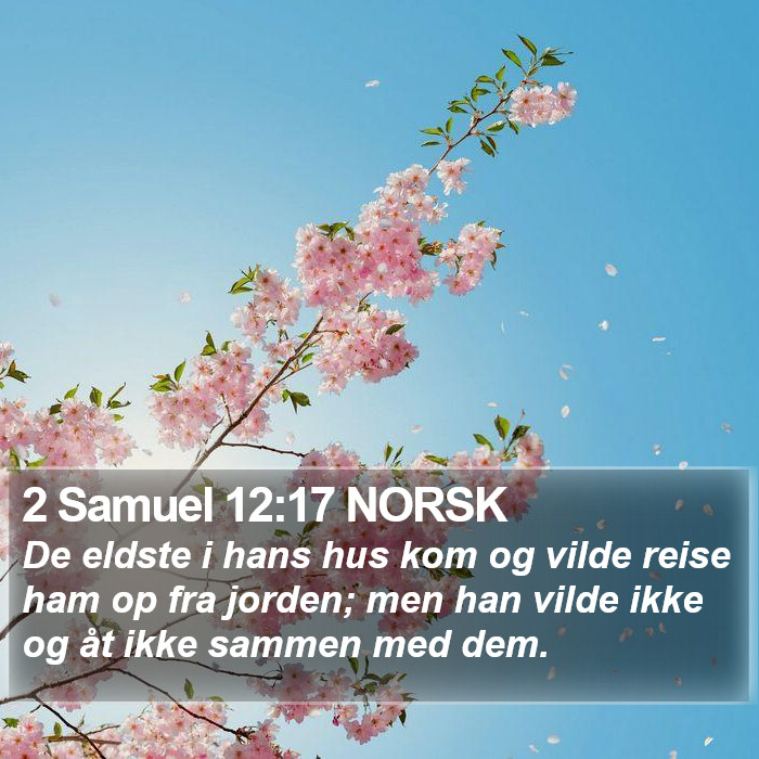2 Samuel 12:17 NORSK Bible Study