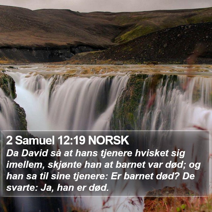 2 Samuel 12:19 NORSK Bible Study
