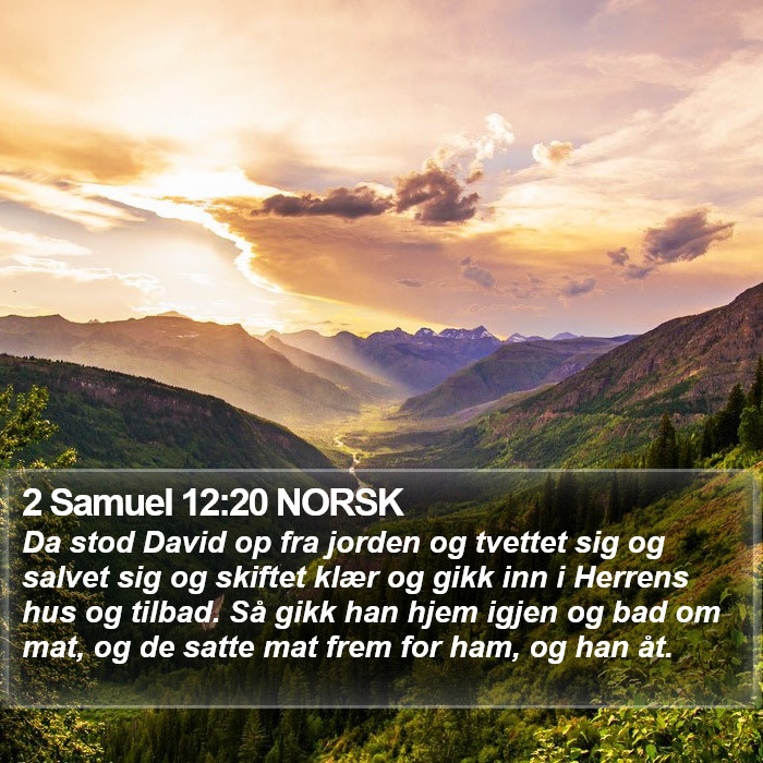 2 Samuel 12:20 NORSK Bible Study