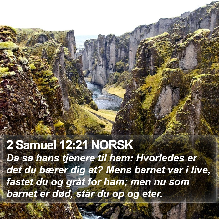 2 Samuel 12:21 NORSK Bible Study