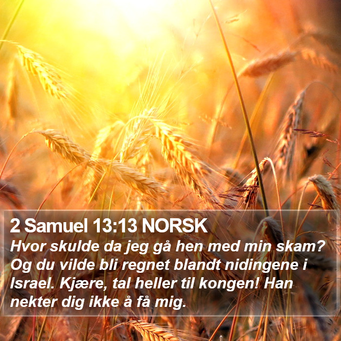 2 Samuel 13:13 NORSK Bible Study