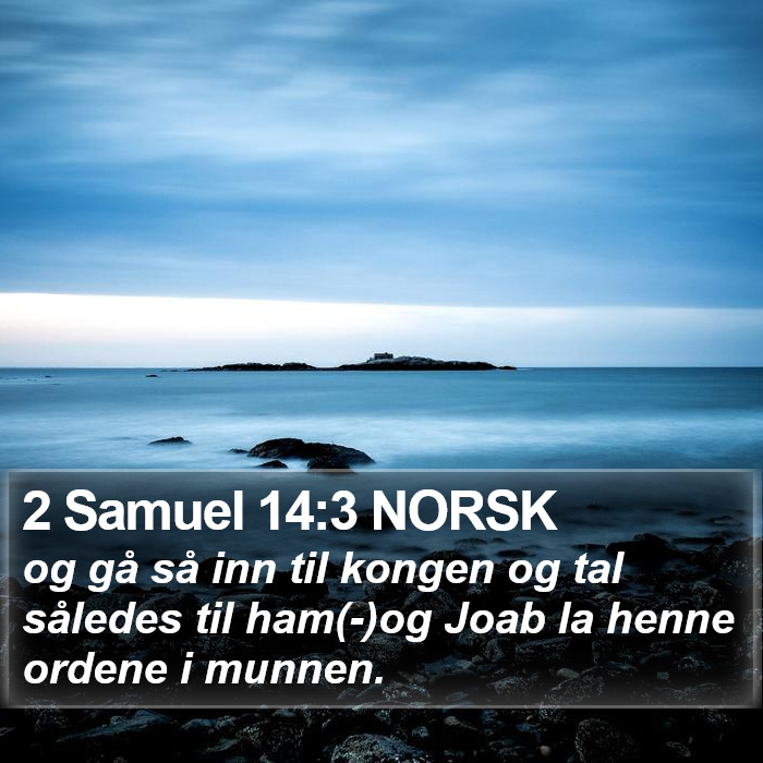 2 Samuel 14:3 NORSK Bible Study