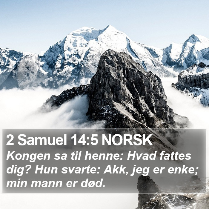 2 Samuel 14:5 NORSK Bible Study