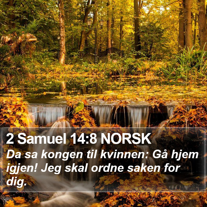 2 Samuel 14:8 NORSK Bible Study