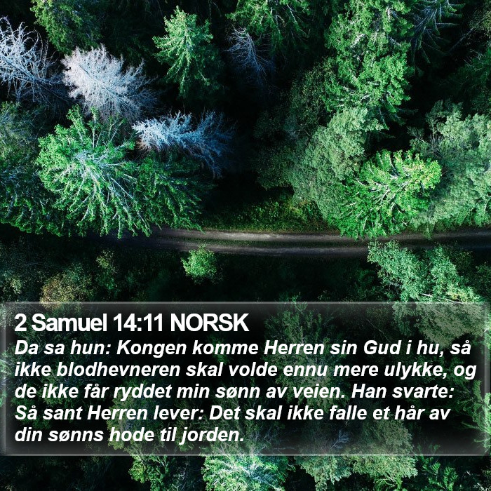 2 Samuel 14:11 NORSK Bible Study