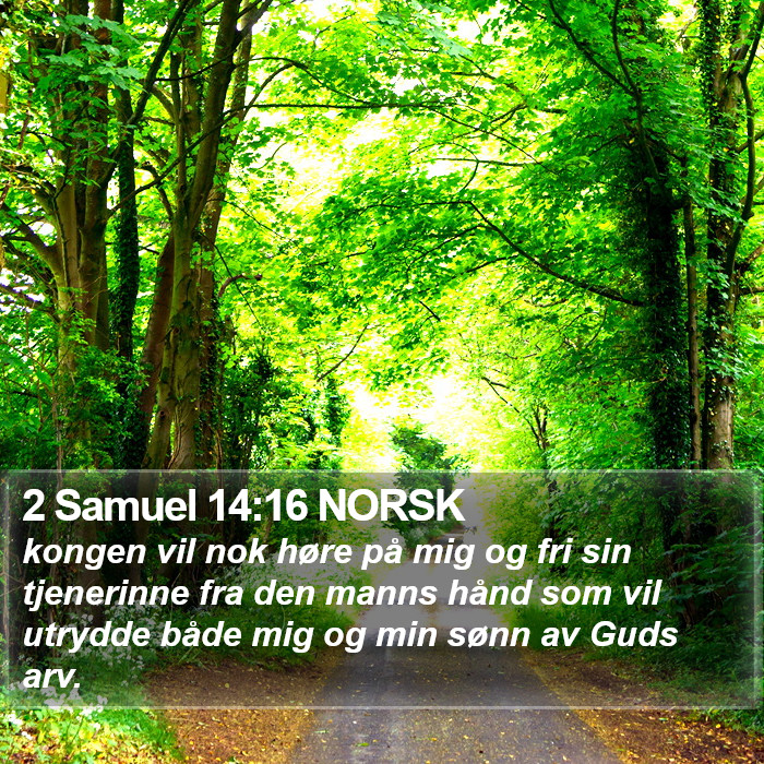 2 Samuel 14:16 NORSK Bible Study