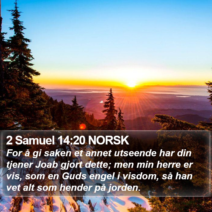 2 Samuel 14:20 NORSK Bible Study