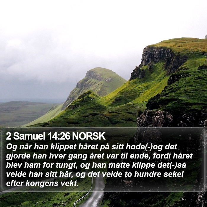 2 Samuel 14:26 NORSK Bible Study