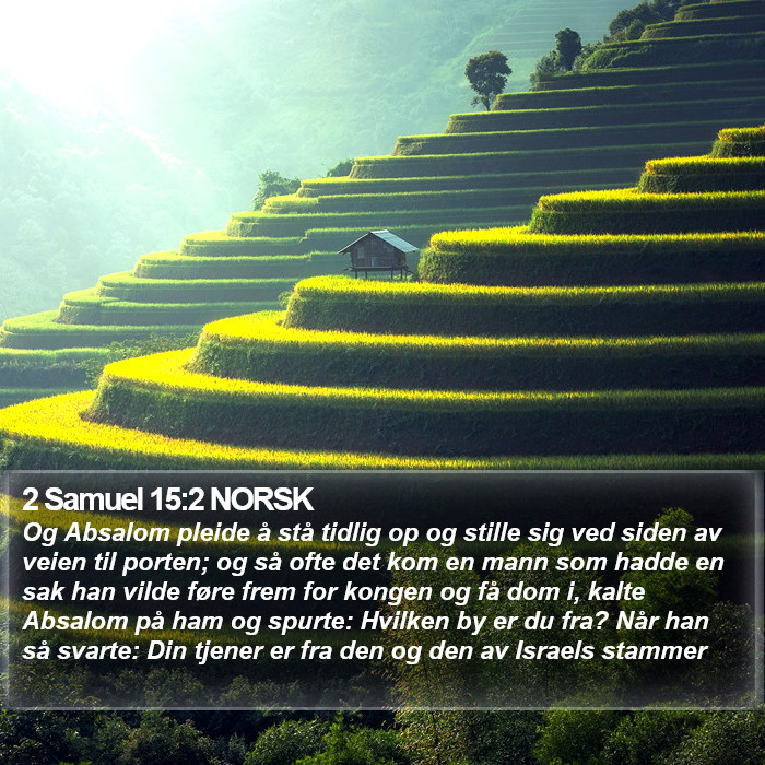 2 Samuel 15:2 NORSK Bible Study