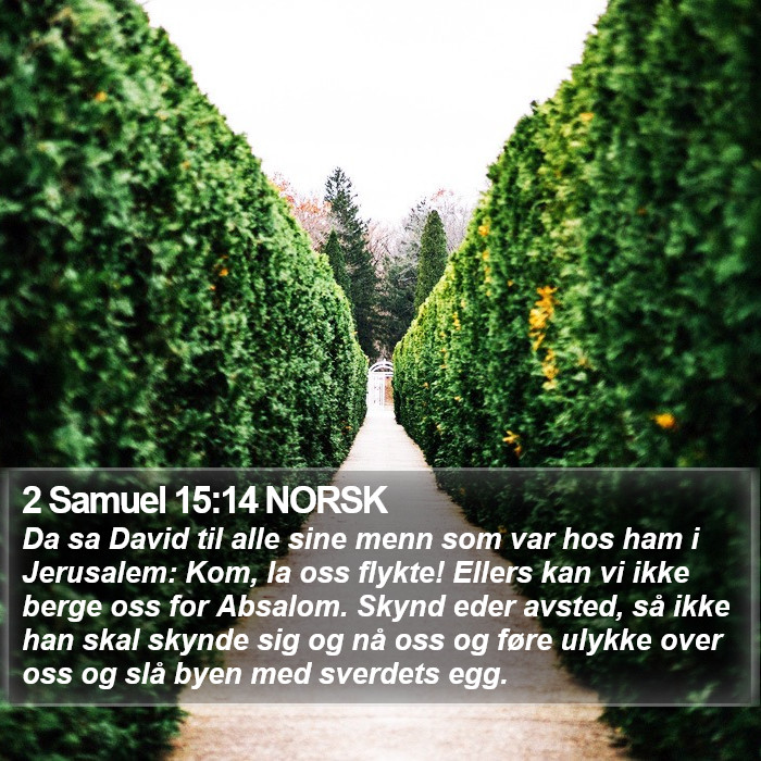 2 Samuel 15:14 NORSK Bible Study