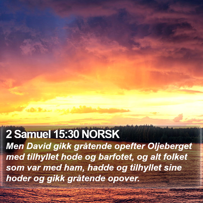 2 Samuel 15:30 NORSK Bible Study