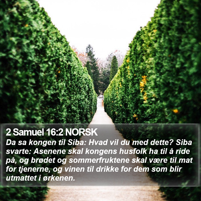 2 Samuel 16:2 NORSK Bible Study