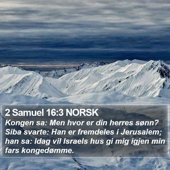 2 Samuel 16:3 NORSK Bible Study