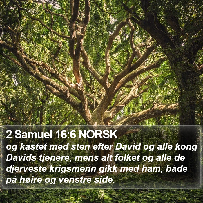 2 Samuel 16:6 NORSK Bible Study