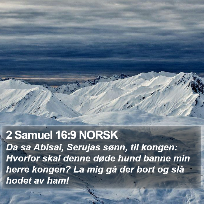 2 Samuel 16:9 NORSK Bible Study