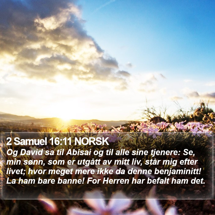 2 Samuel 16:11 NORSK Bible Study