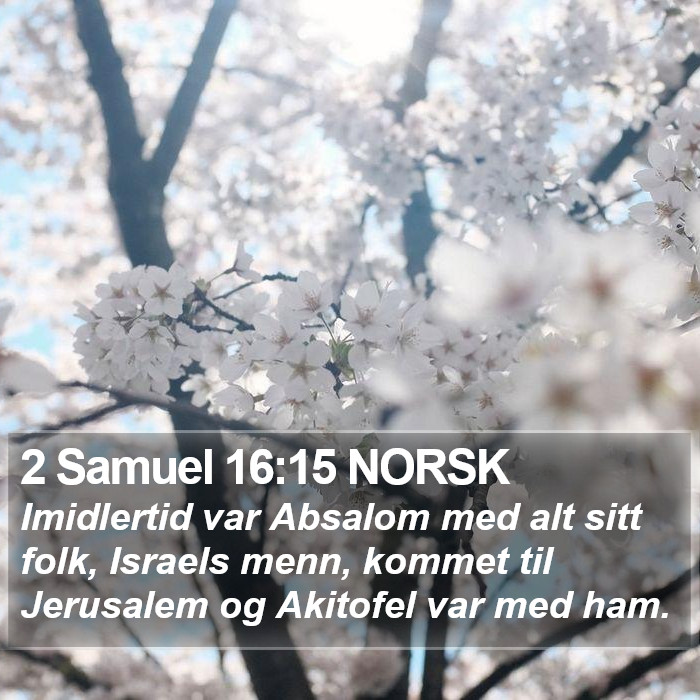 2 Samuel 16:15 NORSK Bible Study