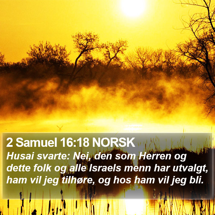 2 Samuel 16:18 NORSK Bible Study