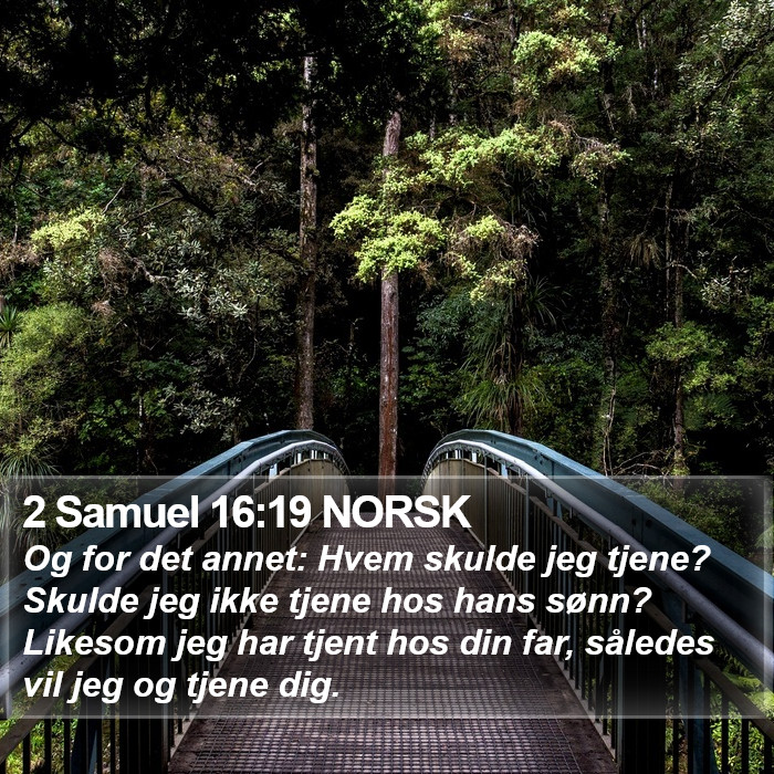 2 Samuel 16:19 NORSK Bible Study