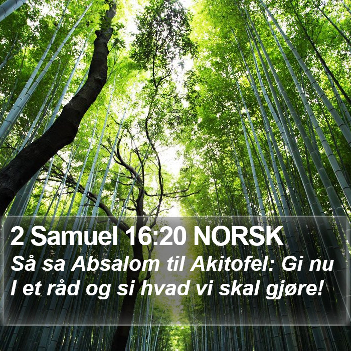 2 Samuel 16:20 NORSK Bible Study