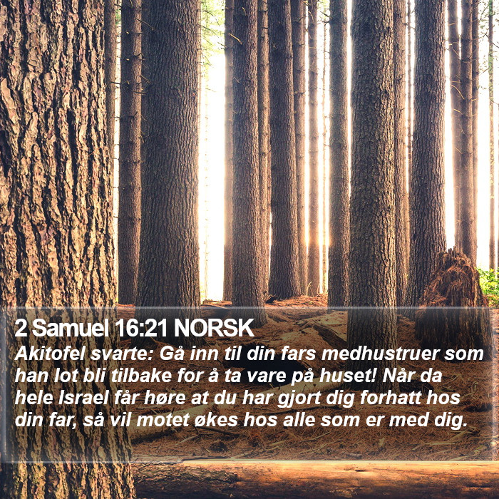 2 Samuel 16:21 NORSK Bible Study