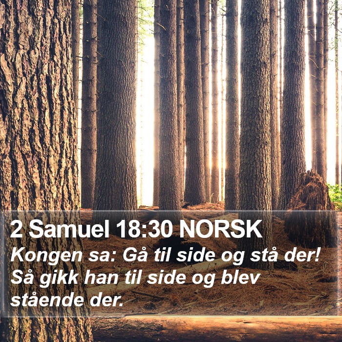 2 Samuel 18:30 NORSK Bible Study