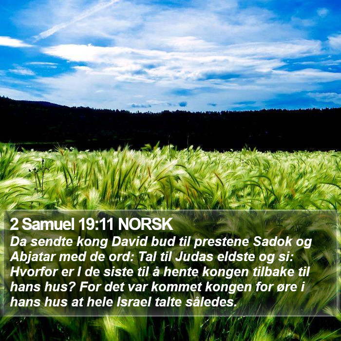 2 Samuel 19:11 NORSK Bible Study