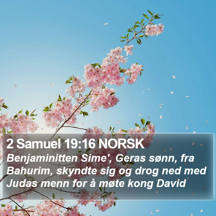 2 Samuel 19:16 NORSK Bible Study