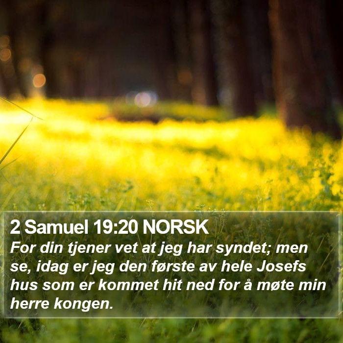 2 Samuel 19:20 NORSK Bible Study