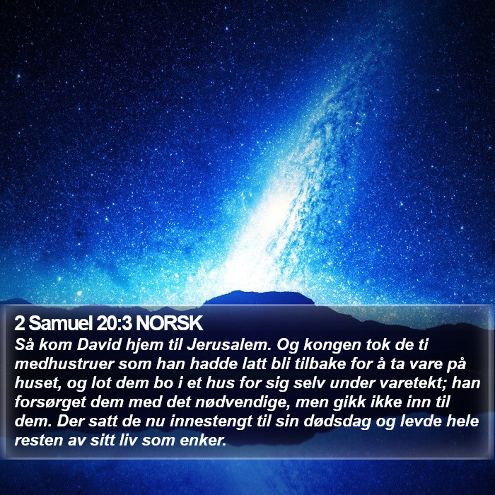 2 Samuel 20:3 NORSK Bible Study