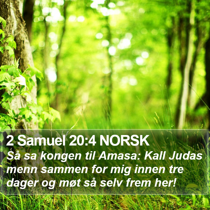 2 Samuel 20:4 NORSK Bible Study