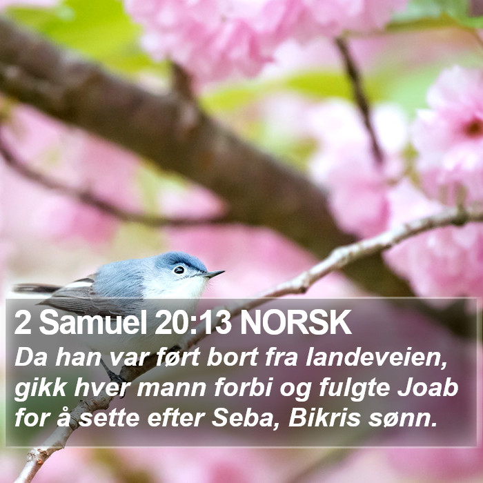 2 Samuel 20:13 NORSK Bible Study