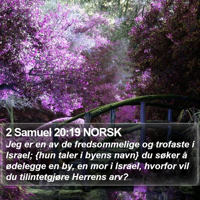 2 Samuel 20:19 NORSK Bible Study