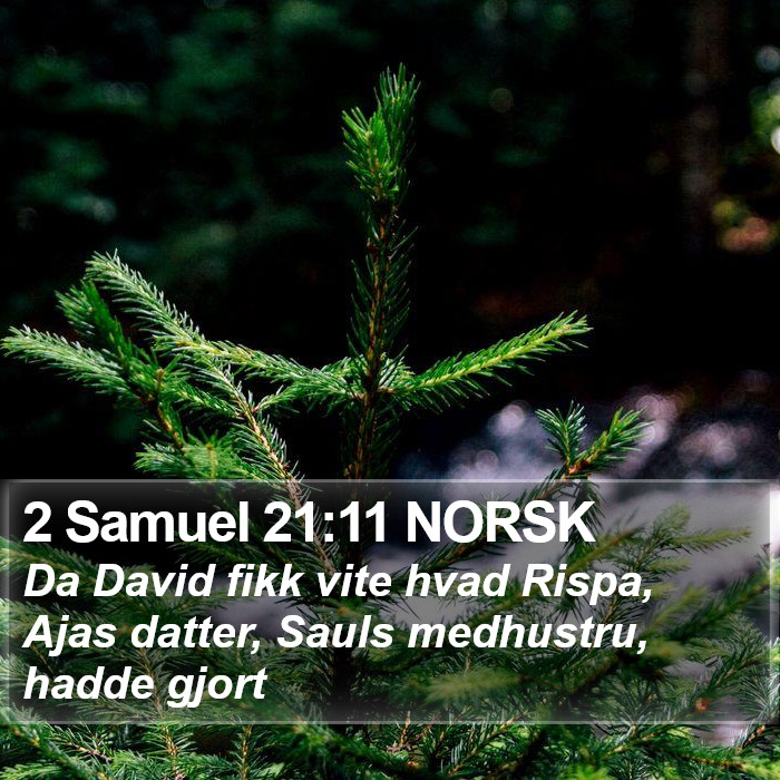 2 Samuel 21:11 NORSK Bible Study