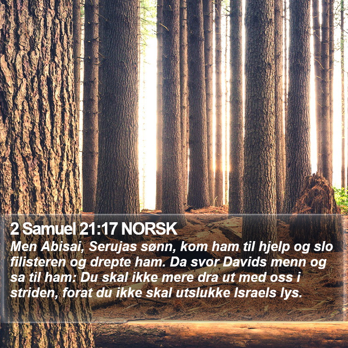 2 Samuel 21:17 NORSK Bible Study