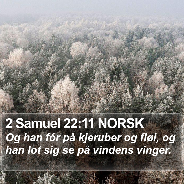 2 Samuel 22:11 NORSK Bible Study