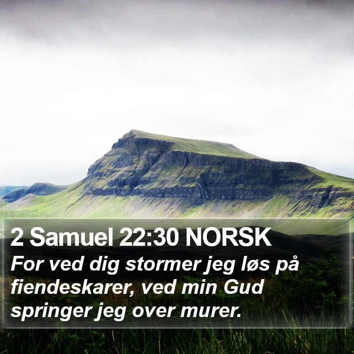 2 Samuel 22:30 NORSK Bible Study