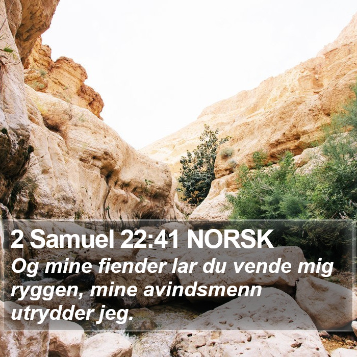 2 Samuel 22:41 NORSK Bible Study