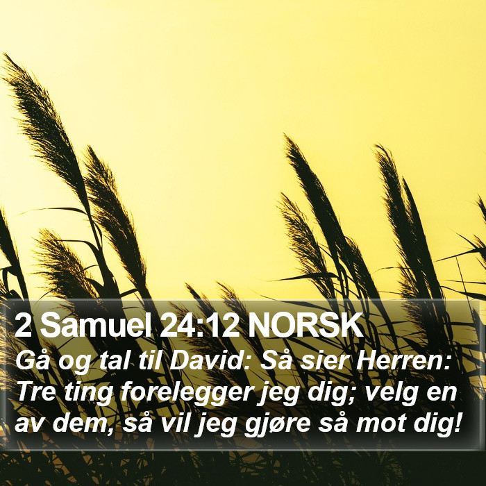 2 Samuel 24:12 NORSK Bible Study