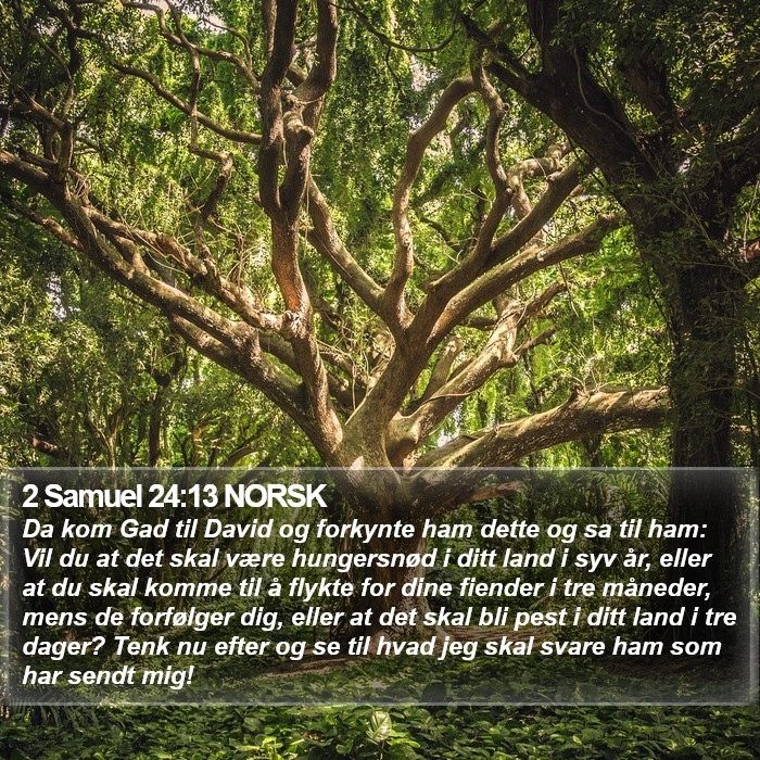 2 Samuel 24:13 NORSK Bible Study