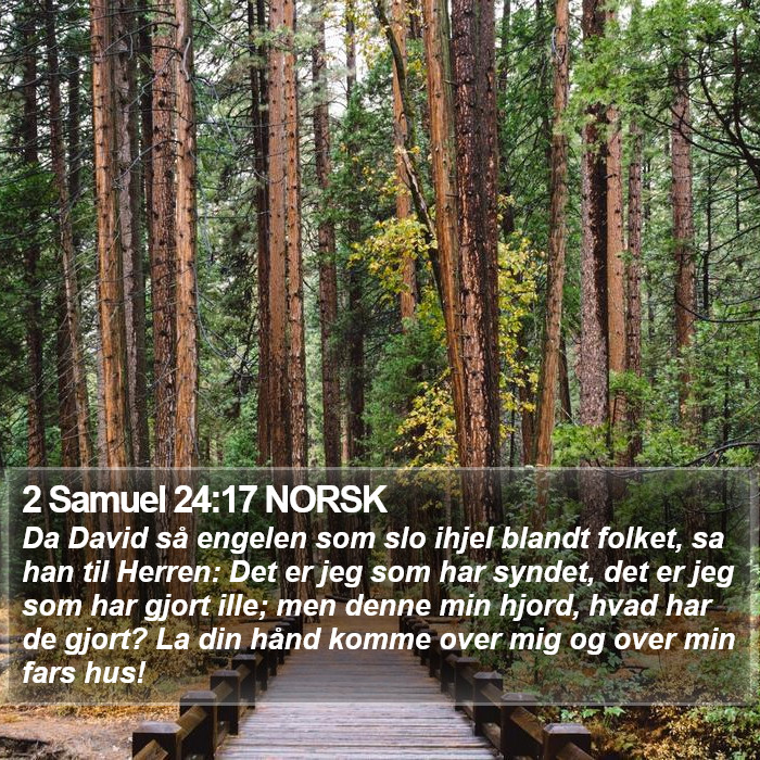 2 Samuel 24:17 NORSK Bible Study