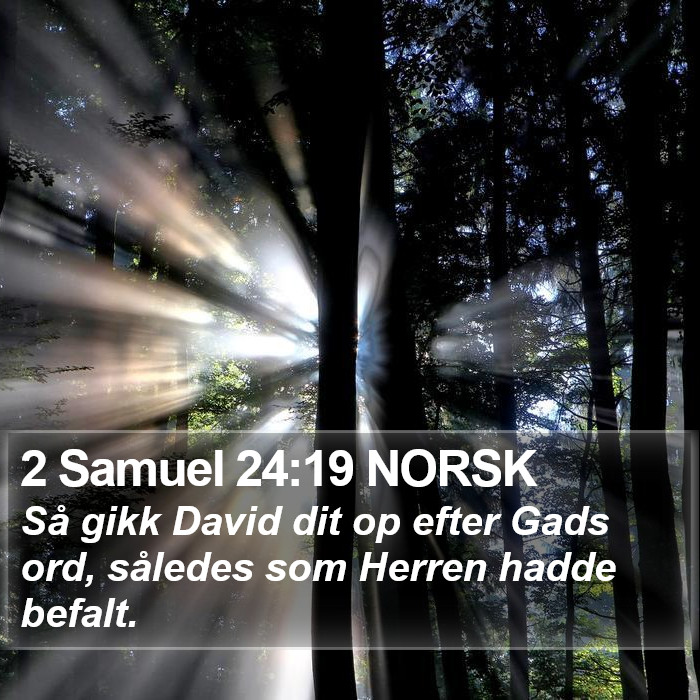 2 Samuel 24:19 NORSK Bible Study