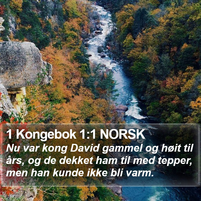 1 Kongebok 1:1 NORSK Bible Study